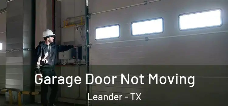  Garage Door Not Moving Leander - TX
