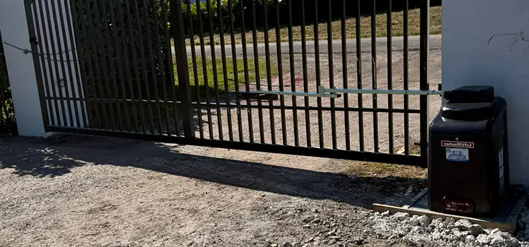 Solar Swing Gate Opener Leander