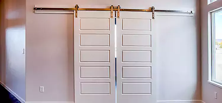 Glass Barn Door with Installation Hardware Kit Leander